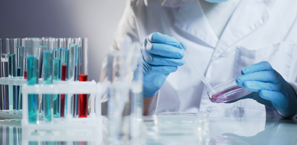 What is Toxicology Screening? Process and Results | OnPoint Lab