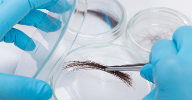 hair sample for toxicology screen
